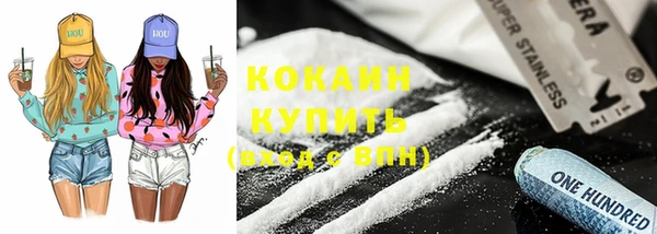 шишки Дмитров
