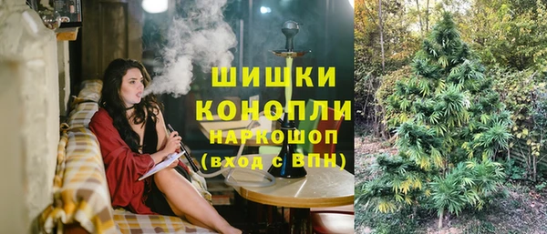 крисы Бугульма