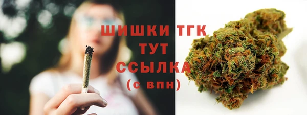 эйфоретик Богородицк