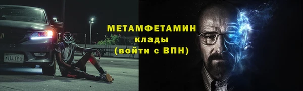 шишки Дмитровск