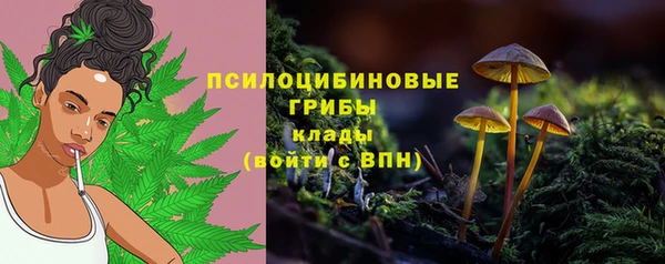 гидропоника Володарск