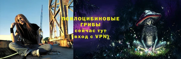 крисы Бугульма