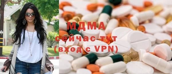 индика Богородск